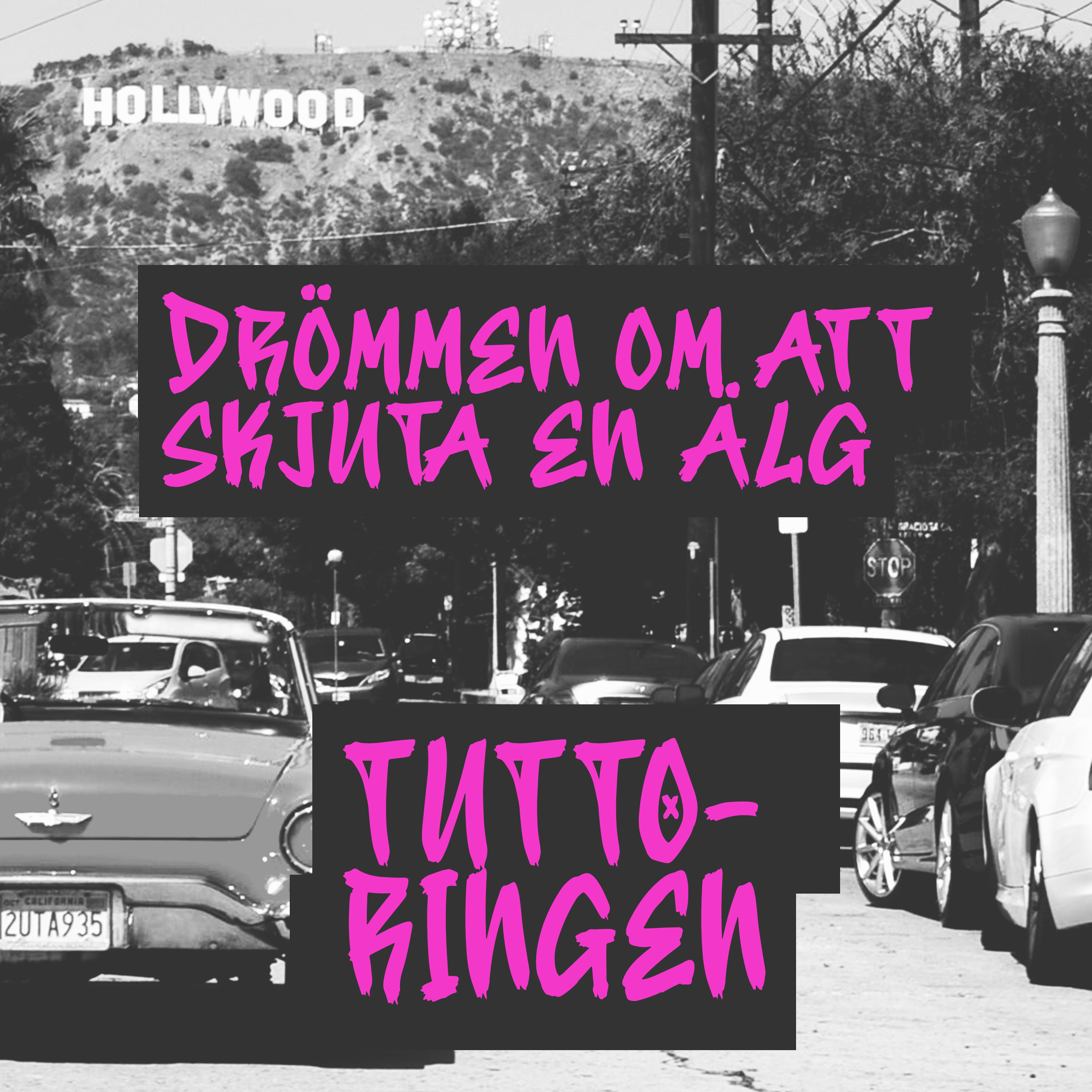58. Drömmen om att skjuta en älg