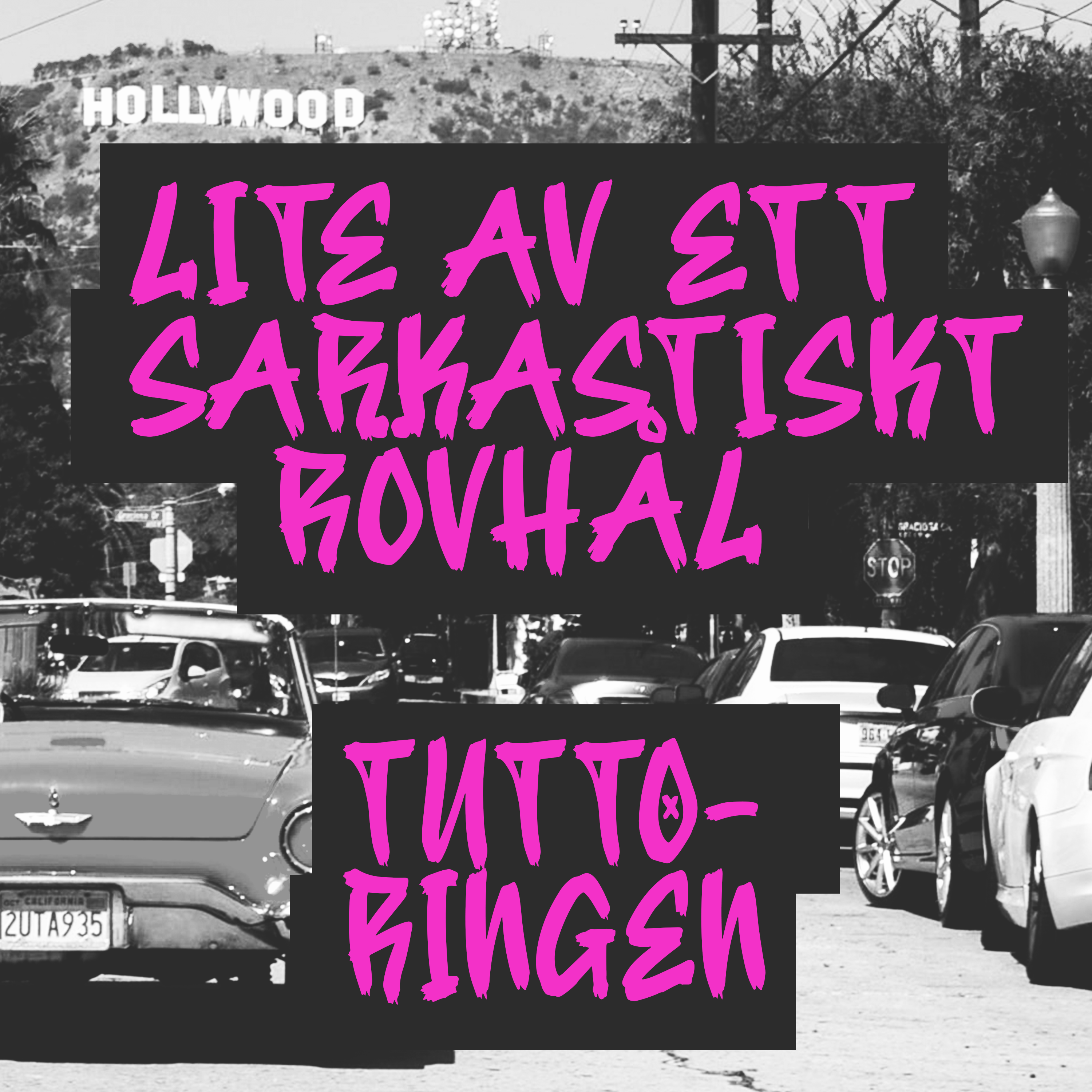 28. Lite av ett sarkastiskt rövhål