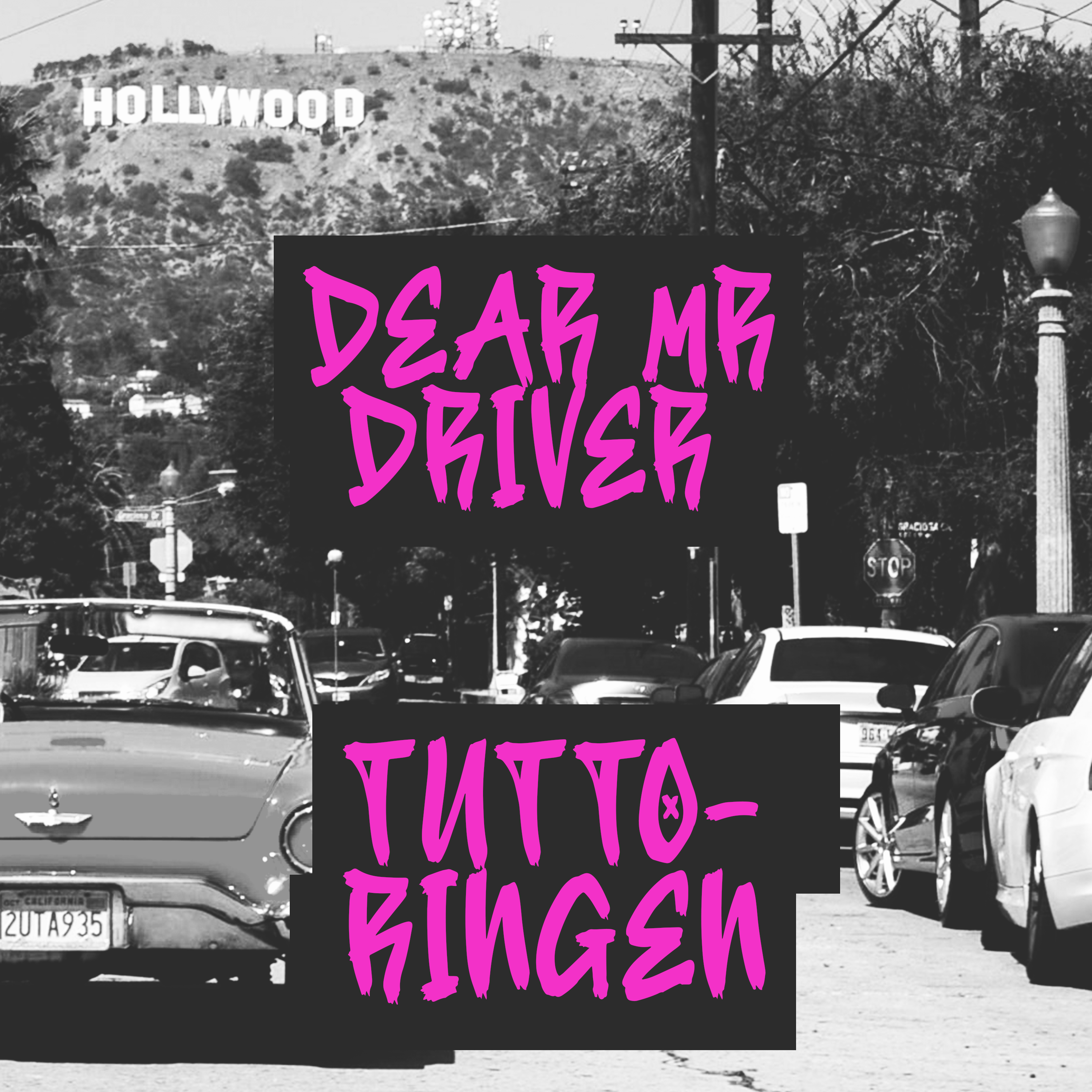 32. Dear Mr Driver